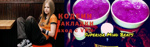 мдпв Горнозаводск