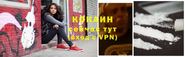 мдпв Горнозаводск