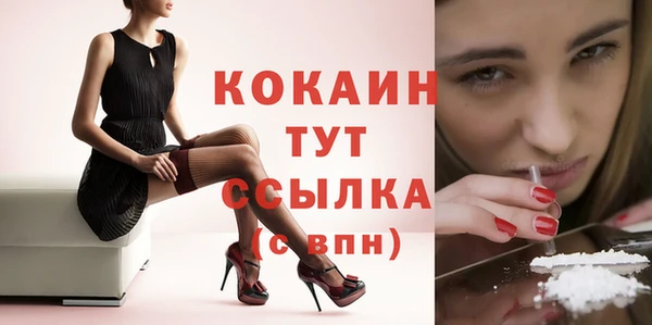 мдпв Горнозаводск