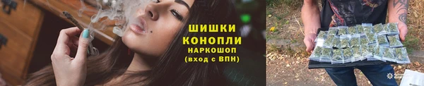 мдпв Горнозаводск