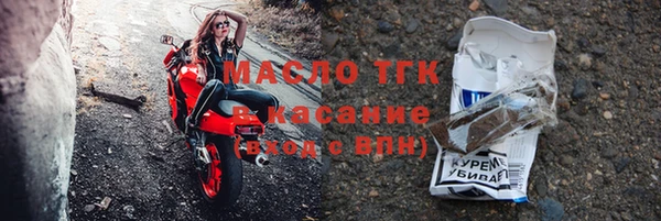индика Зеленодольск