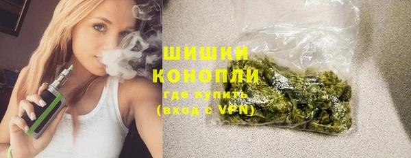 молекула духа Дмитриев