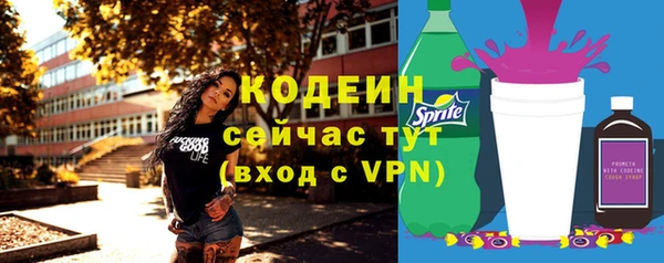 мдпв Горнозаводск