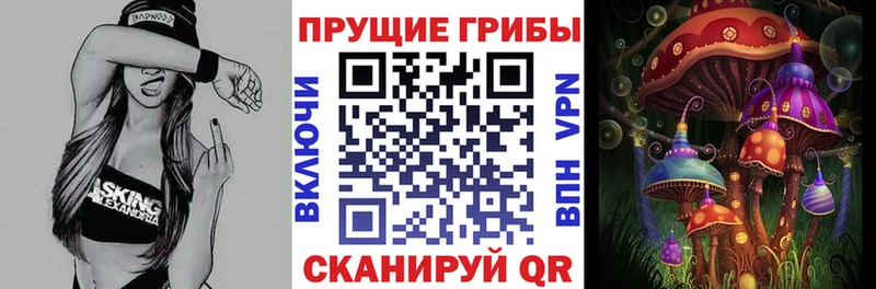 Псилоцибиновые грибы GOLDEN TEACHER  kraken ссылки  Верхний Тагил 